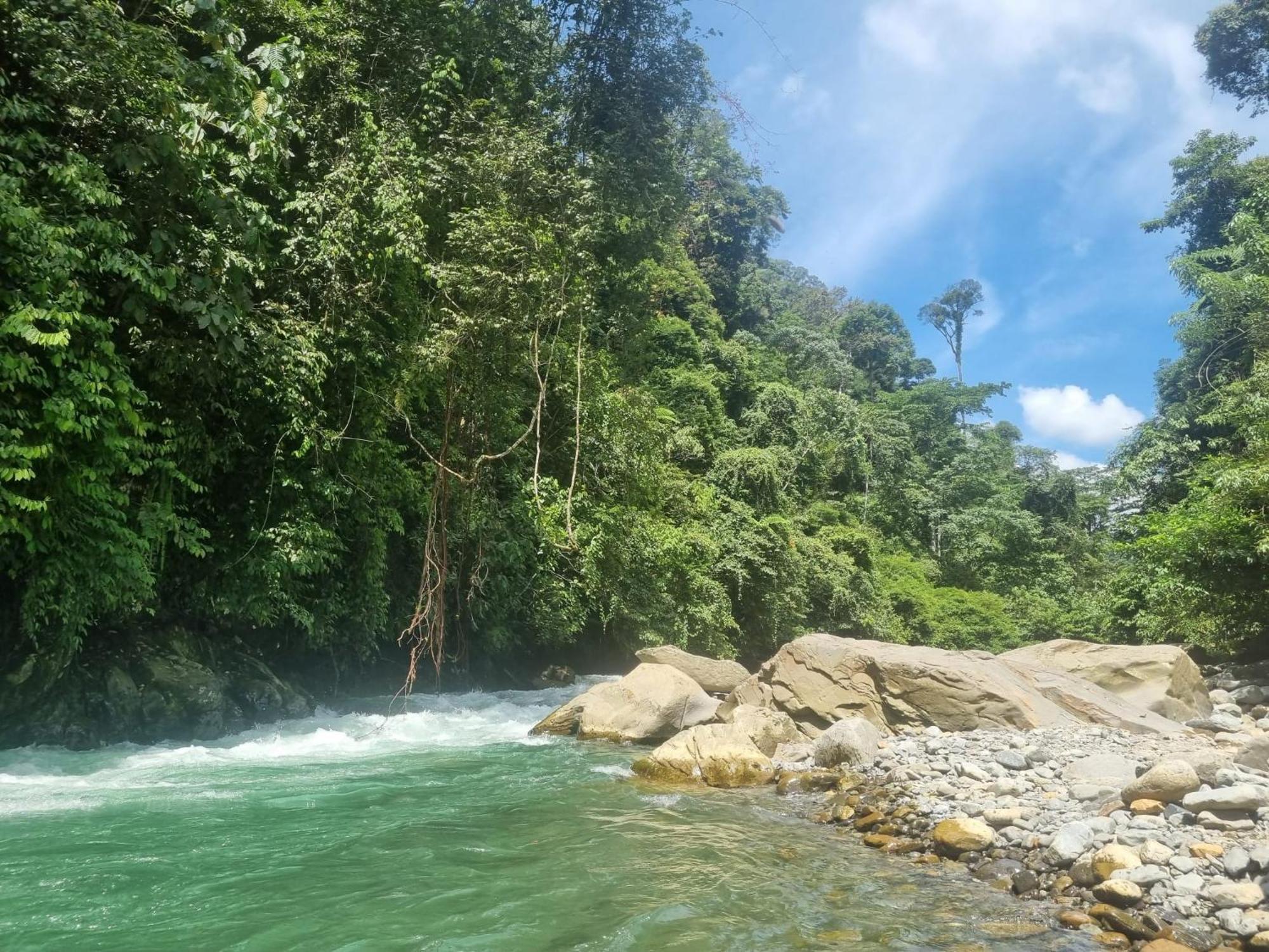 Lucky Bamboo'Bungalows-Resto And Orangutan Jungle Trekking Tours Bukit Lawang Exterior foto